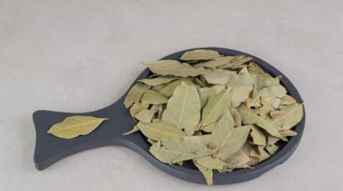 garnishing-instructions-image